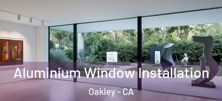  Aluminium Window Installation Oakley - CA