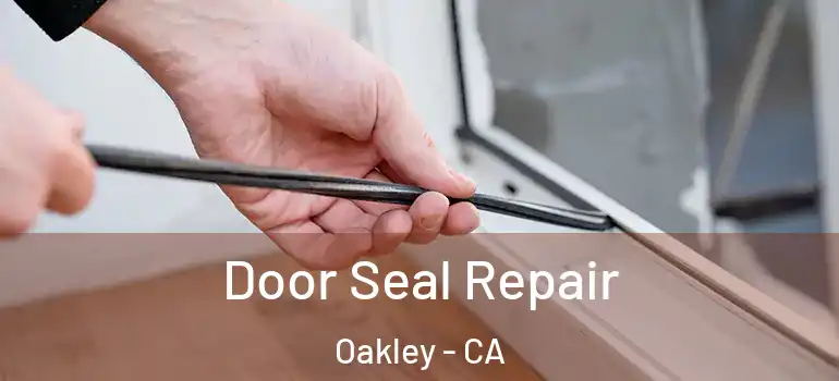  Door Seal Repair Oakley - CA