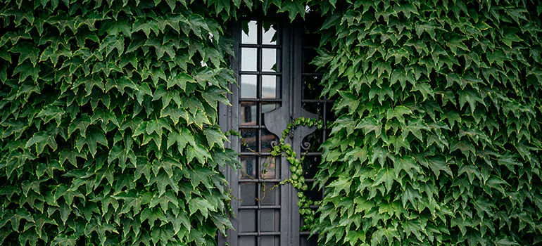 Garden Gate Repair in Oakley, CA