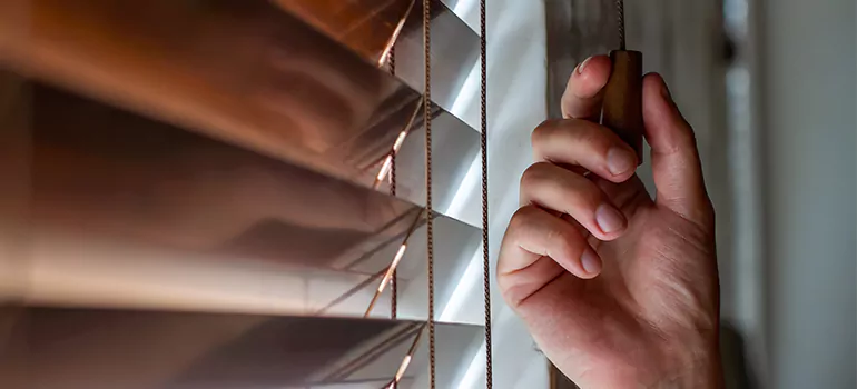 Double Roller Blinds in Oakley, CA