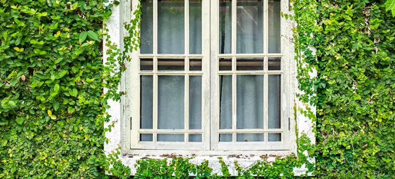 Garden Window Repair Near Me in Oakley, CA