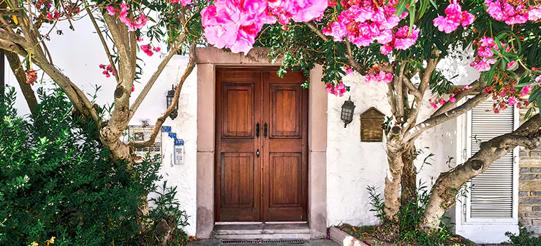 Traditional 4 Panel Internal Doors in Oakley, CA