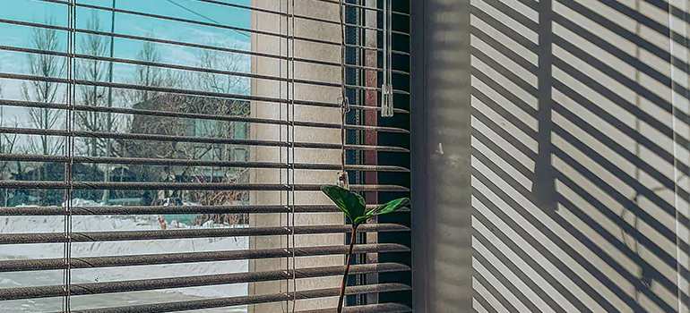 Commercial Window Blinds in Oakley, CA
