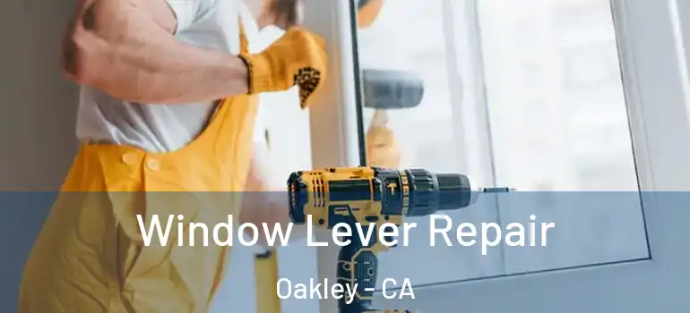  Window Lever Repair Oakley - CA