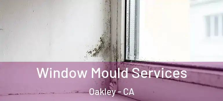  Window Mould Services Oakley - CA