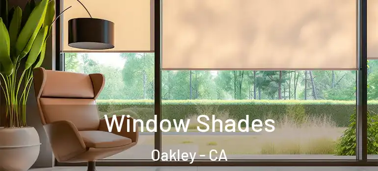  Window Shades Oakley - CA