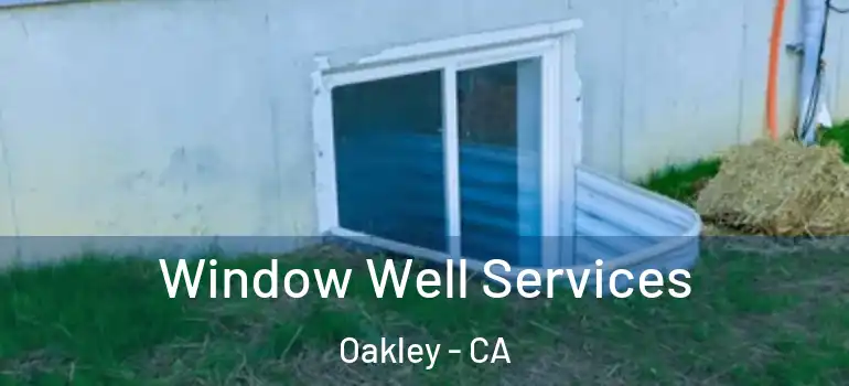  Window Well Services Oakley - CA
